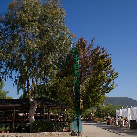 Hotel Hellas Epidaurus Ngoại thất bức ảnh
